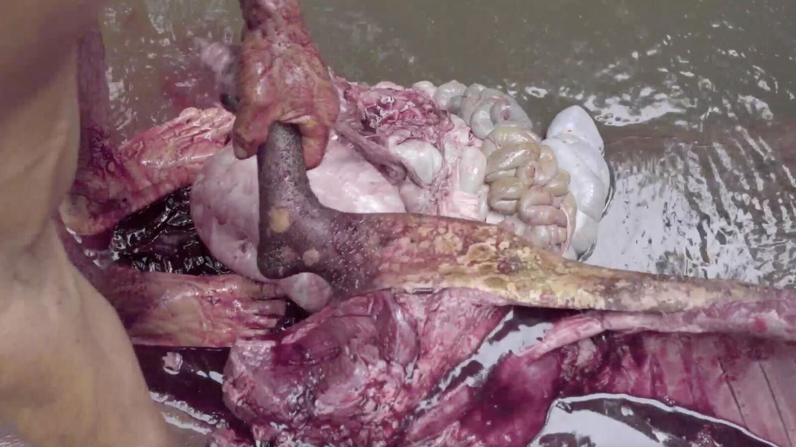 Gallery image of the project Draußen leben