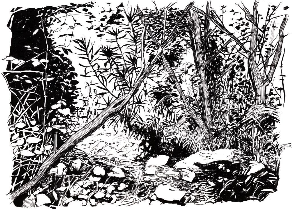 Gallery image of the project Quo Vadis?