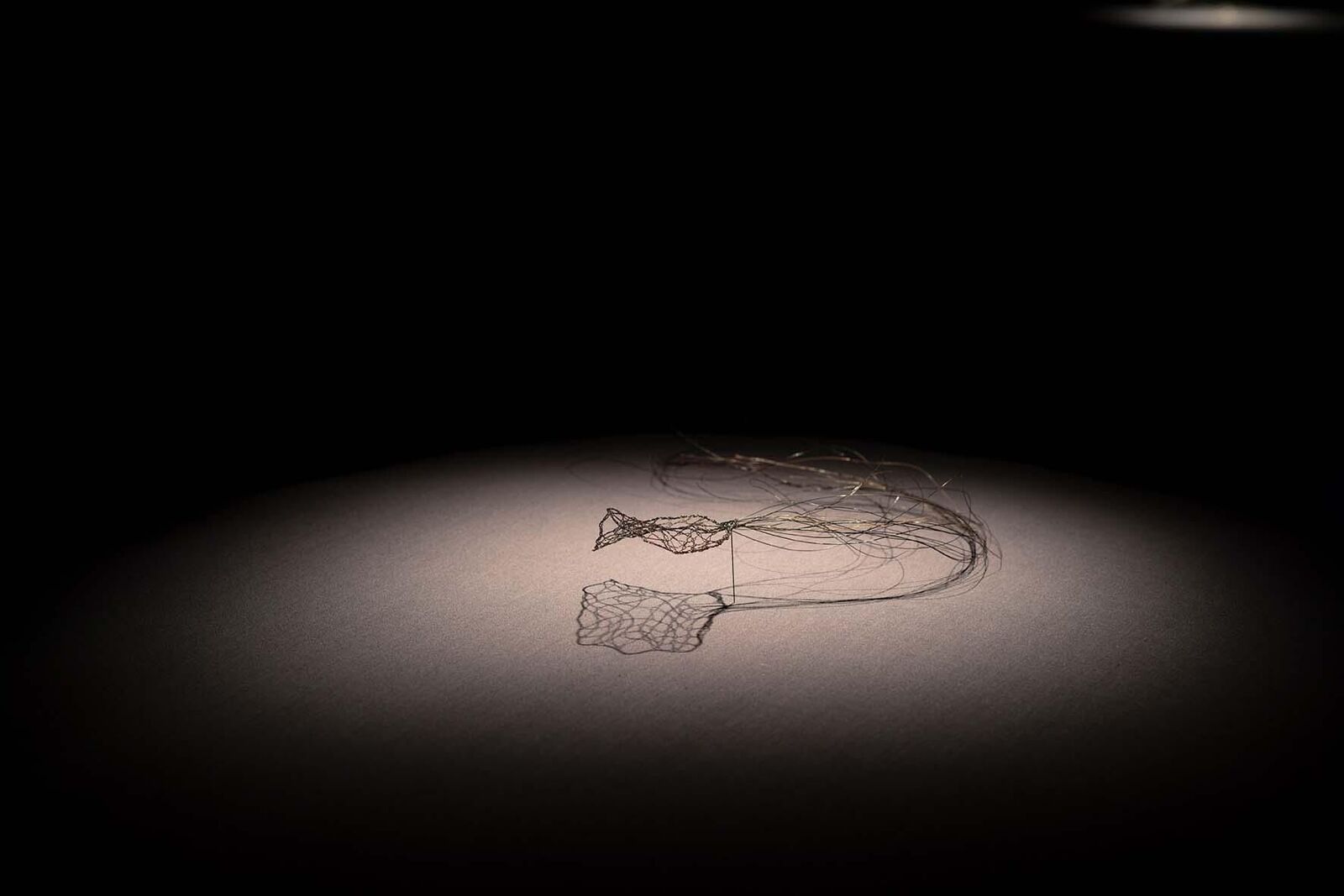 Gallery image of the project «Dann kommen ja die grünen Vögel nicht mehr wieder, wenn die Kastanien weg sind»