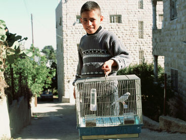 Phil Collins, bethlehem #1, 2003