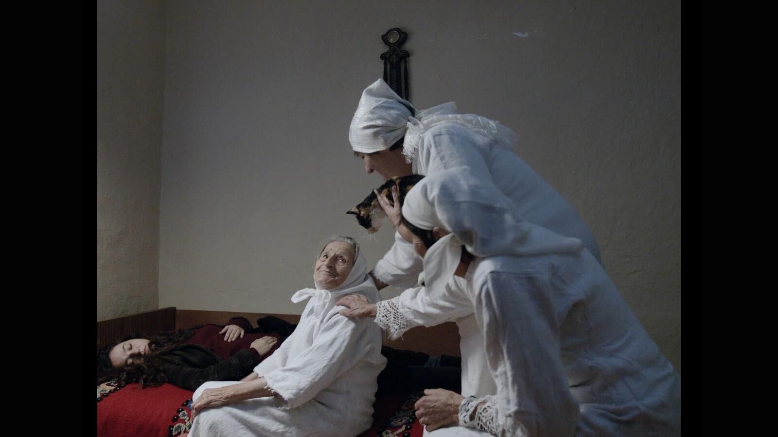 Gallery image of the project On the other side of the pillow a rose was blossoming