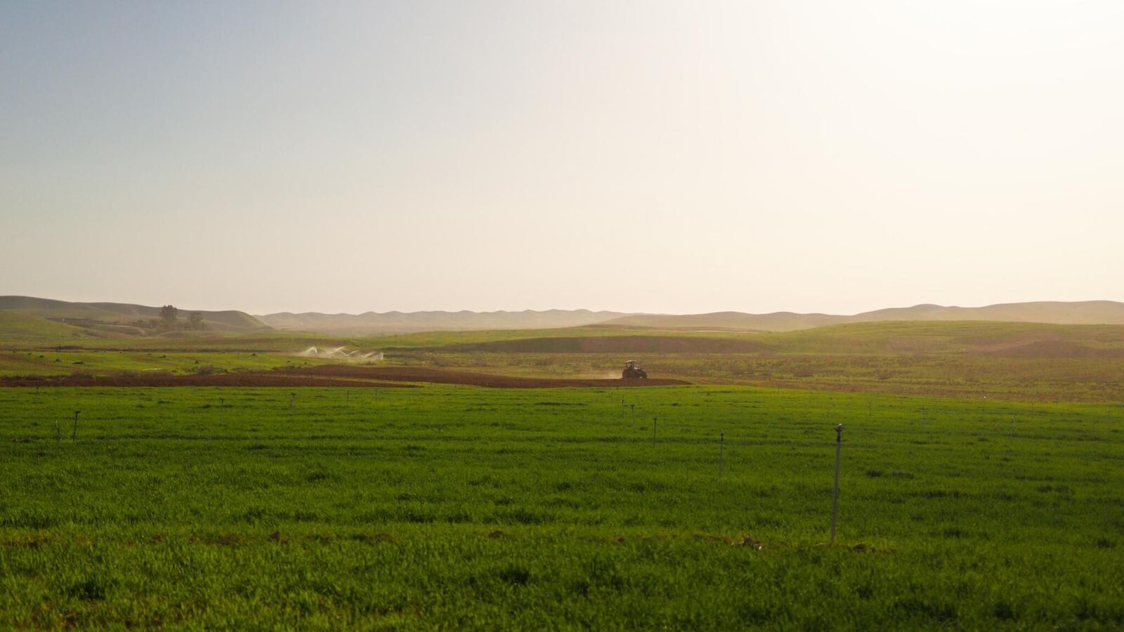 Gallery image of the project Anfal—eight lives, one genocide