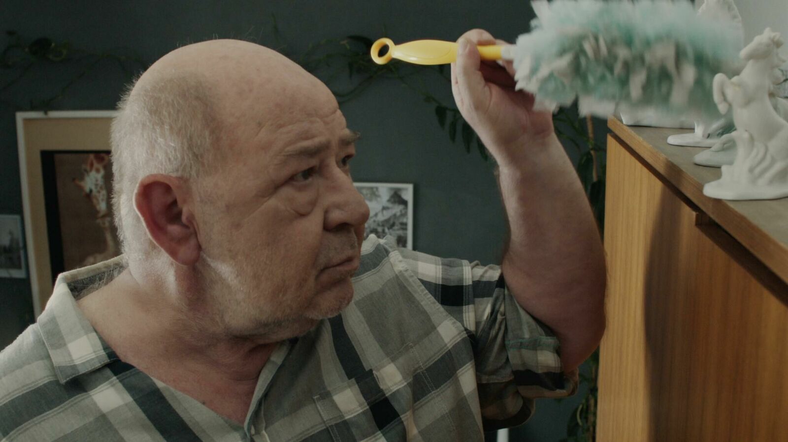 Gallery image of the project Nachbarschaftsgrüße ""Erwin"" 