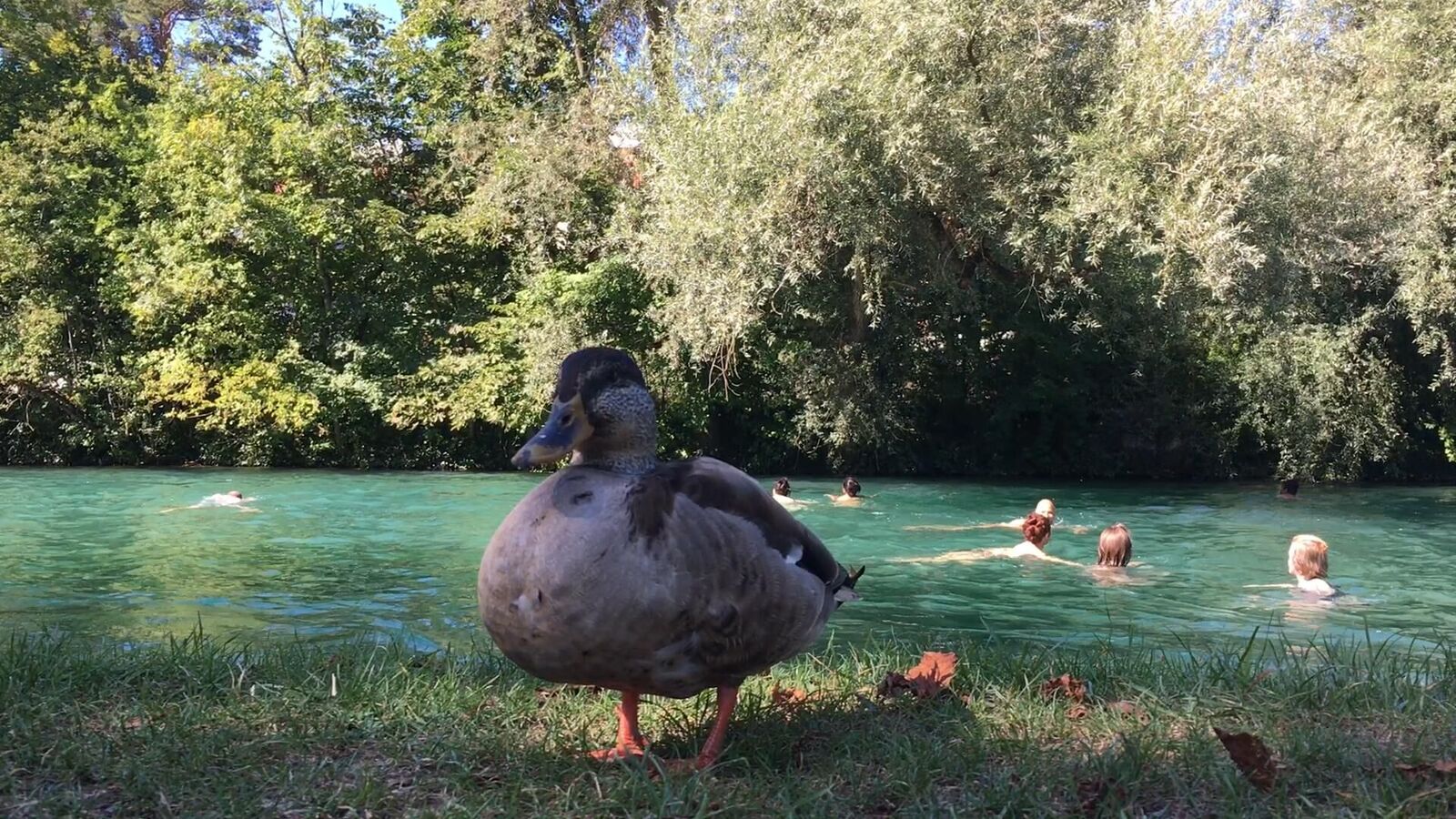 Gallery image of the project Cascade