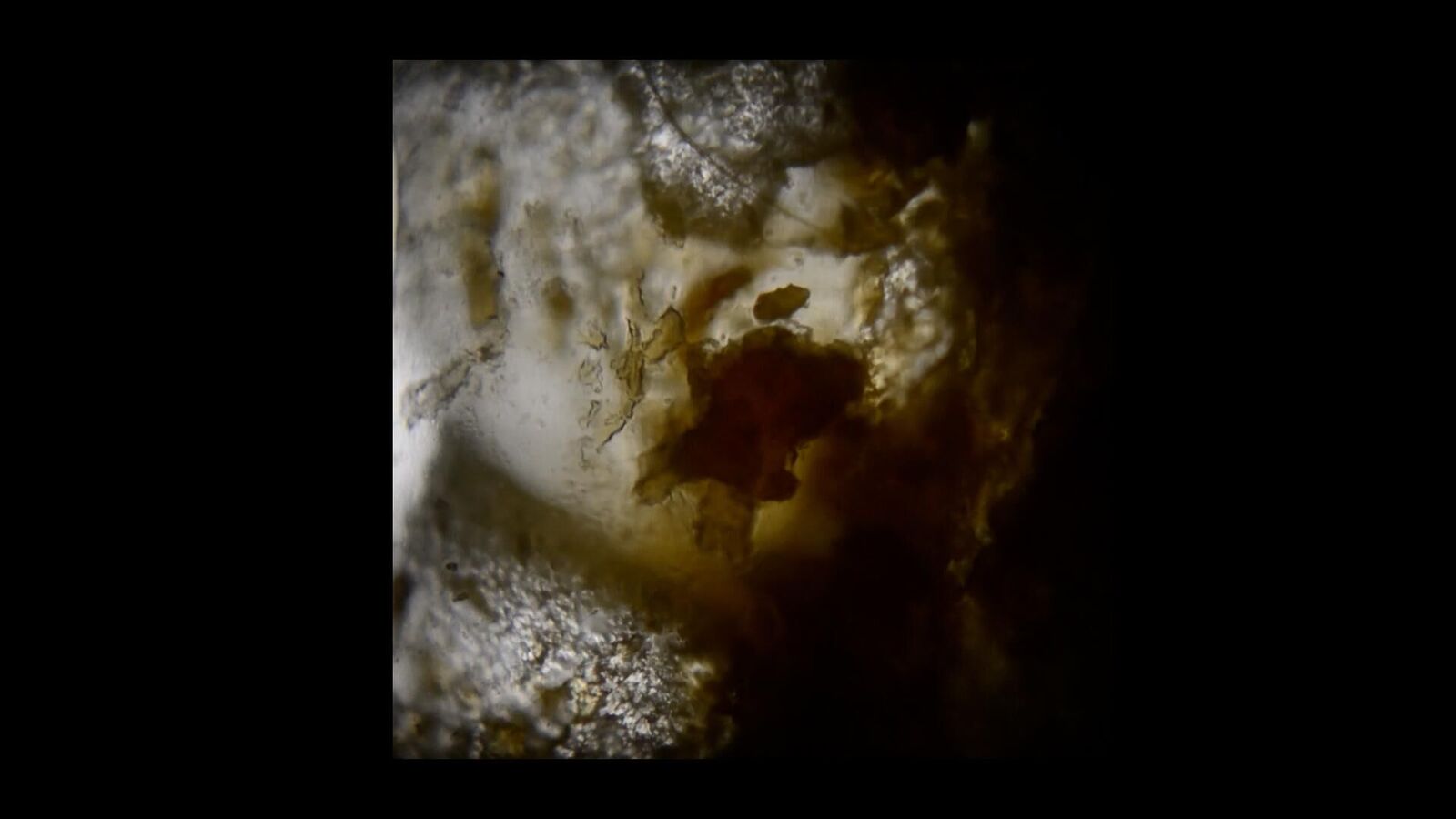 Gallery image of the project Der Körperflicker 4