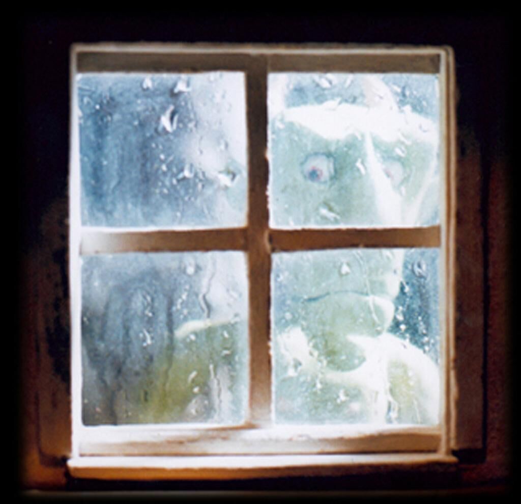 Cover image of the project Der Krieg ist aus und der Soldat weiß nicht, was er tun soll