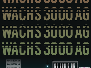Leonard Prandini, WACHS 3000 AG