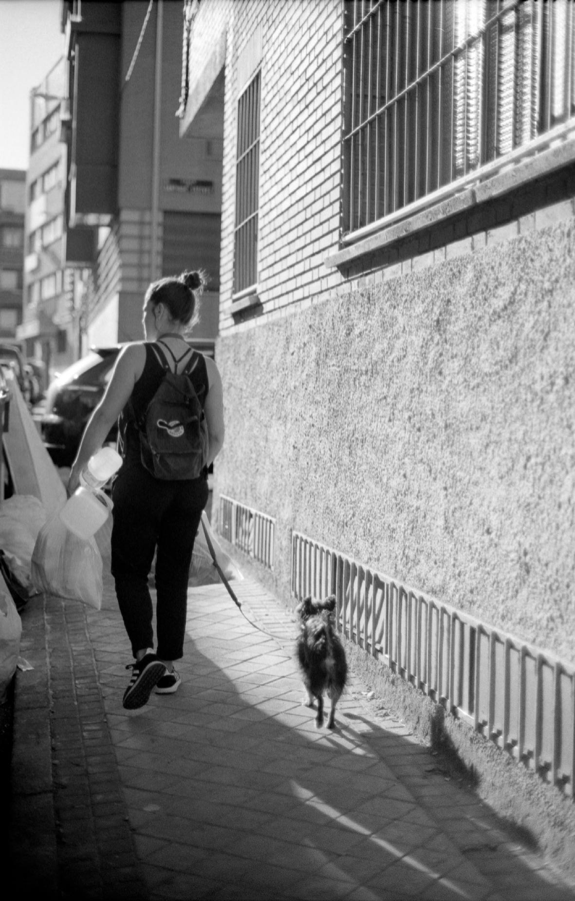 Gallery image of the project [insert title]