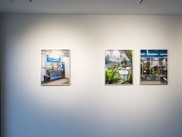 Doris Treitz, Diplom (Heumarkt 14)