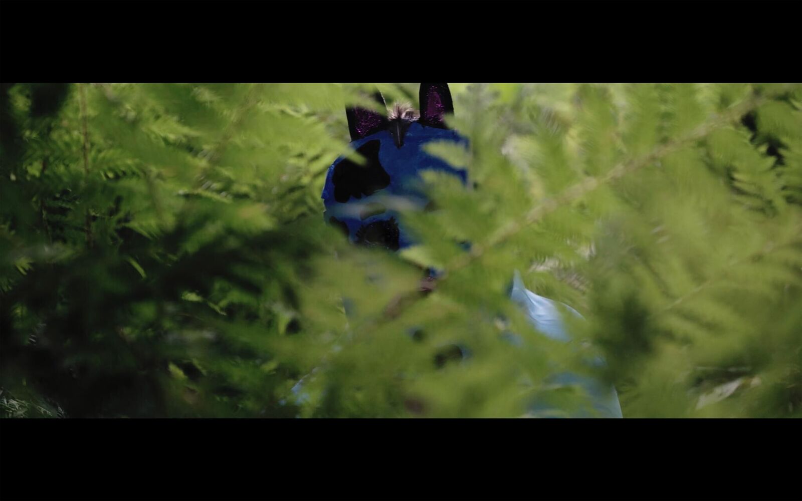 Gallery image of the project EL SUEÑO (Director´s Cut)