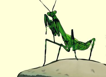 Mantis Gallery image of the project Mantis