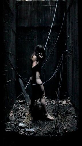 Cover image of the project LIMPIAR