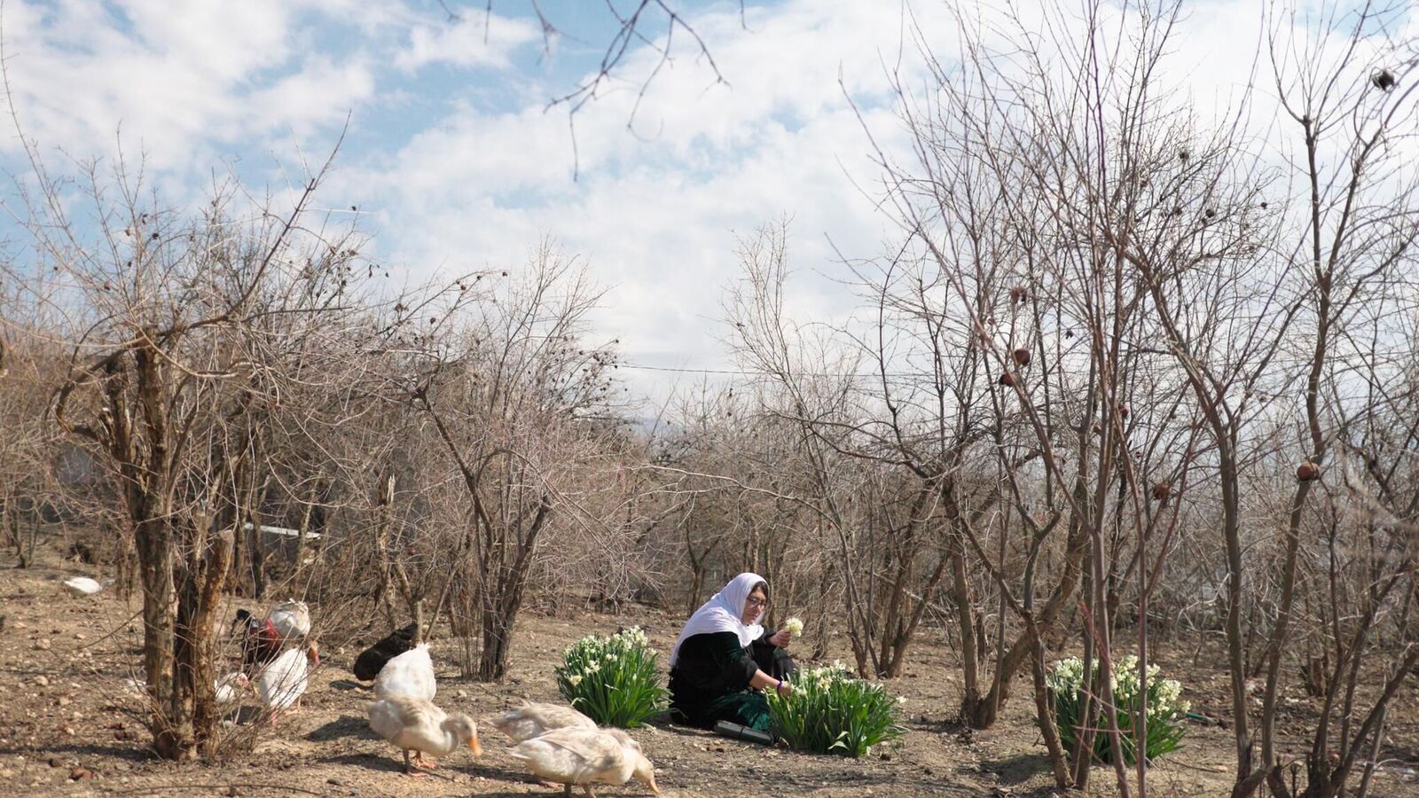 Cover image of the project Anfal—eight lives, one genocide