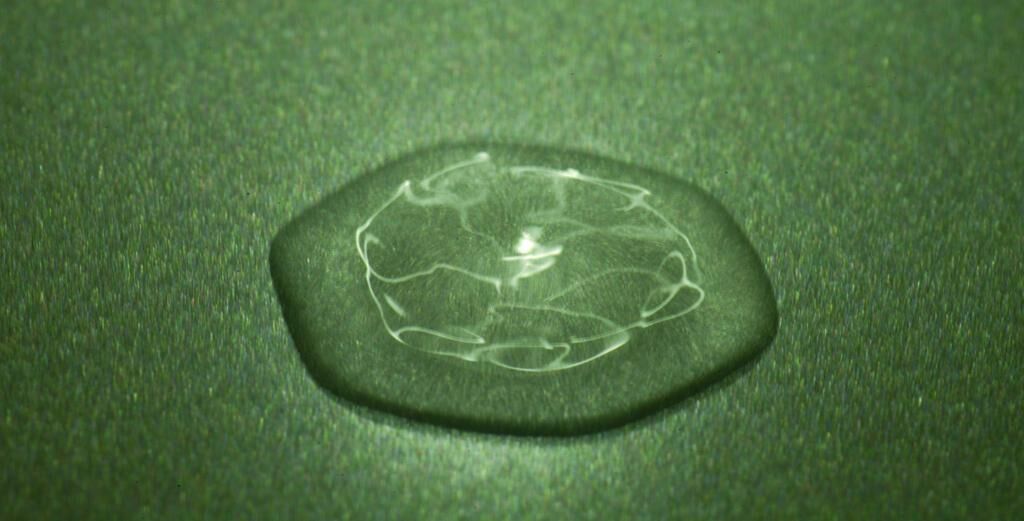 Cover image of the project swinging matter