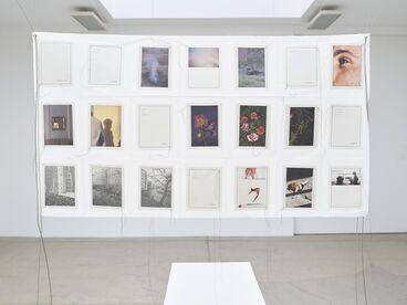 Gallery image of the project IN MY HANDS - Issue 7 - An den Spitzen nur Wurzeln