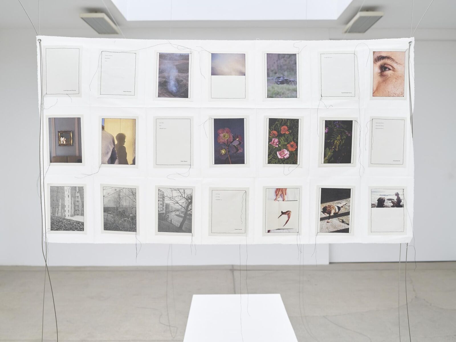 Gallery image of the project IN MY HANDS - Issue 7 - An den Spitzen nur Wurzeln