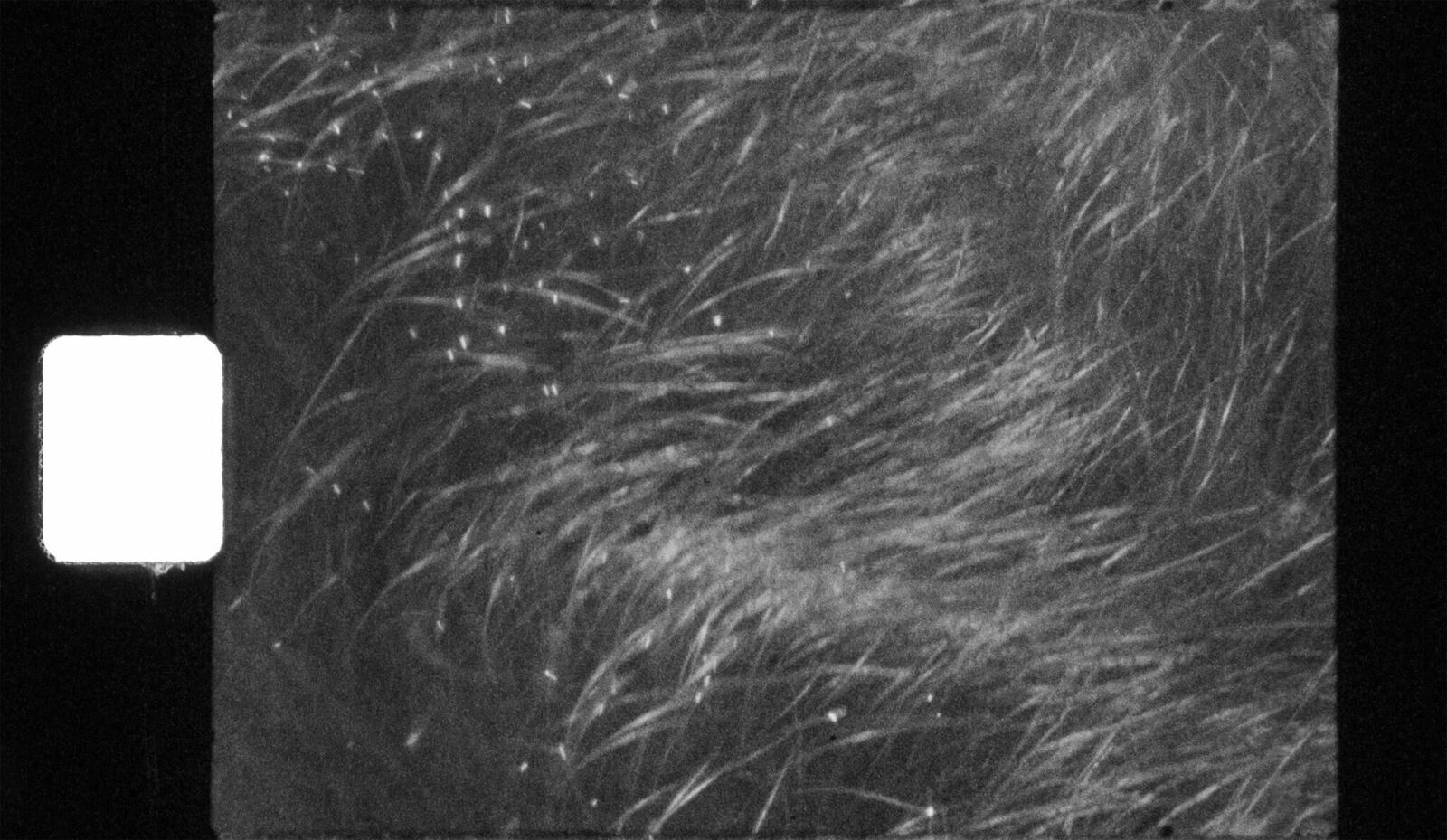 Gallery image of the project El mismo sol, otra luz