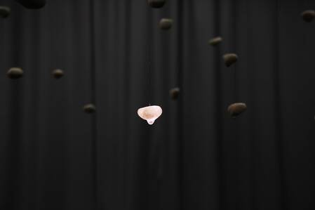 KHM, Dandan Liu