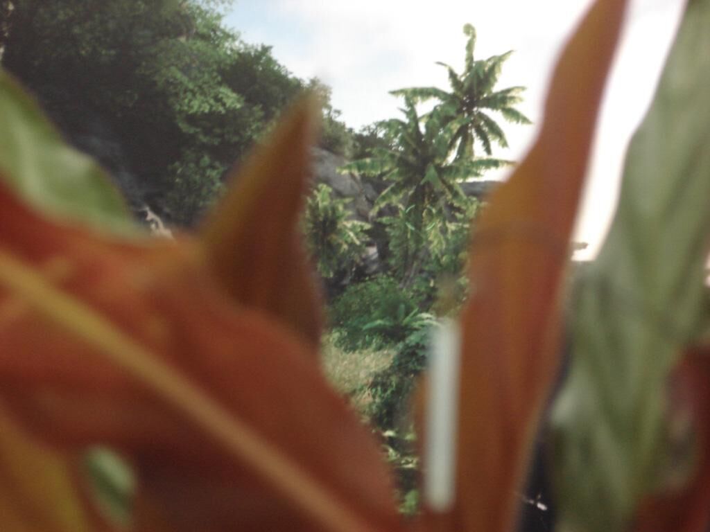 Gallery image of the project Sensobotanics