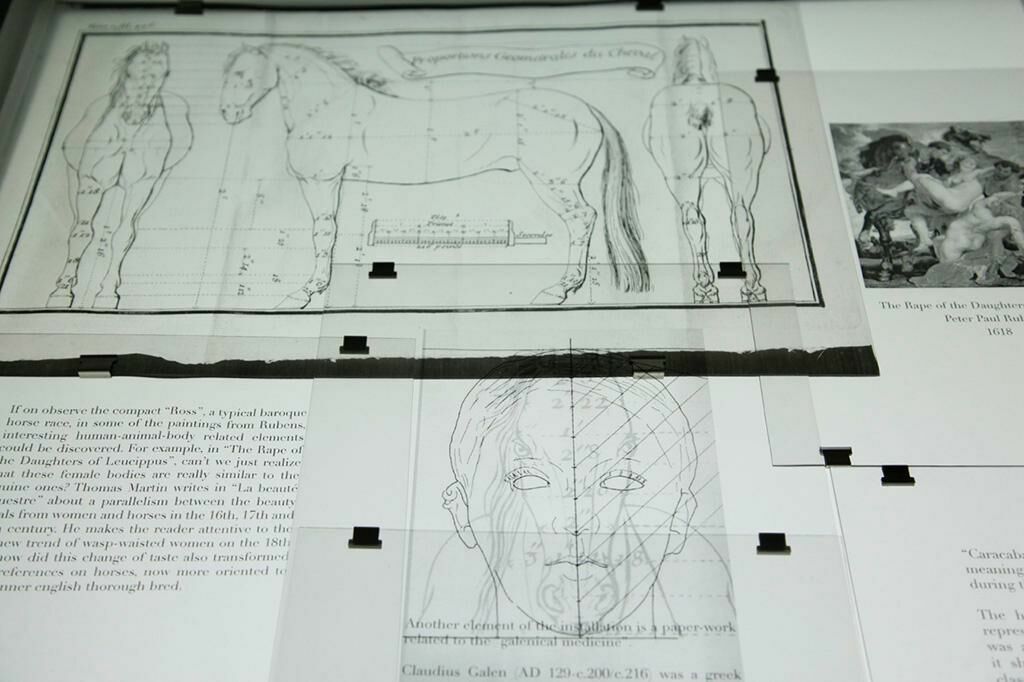 Gallery image of the project Horsey face 