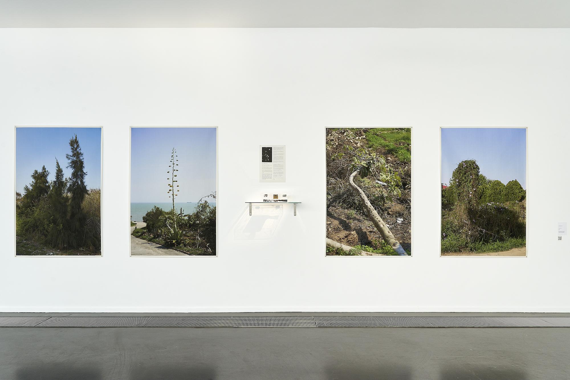 Gallery image of the project Purple Thorn