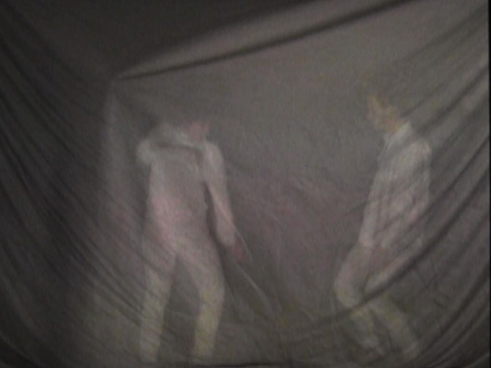 Gallery image of the project interlateo