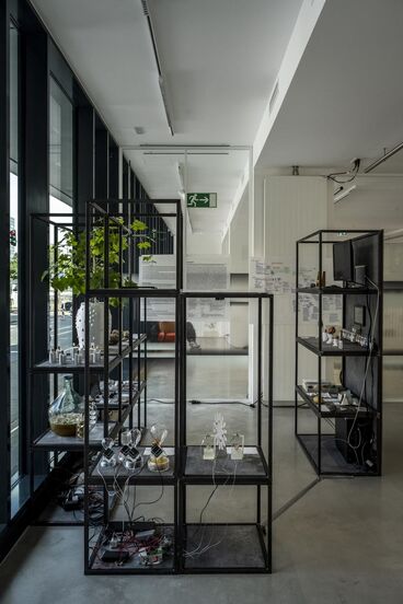 Gallery image of the project Steine in den Medien