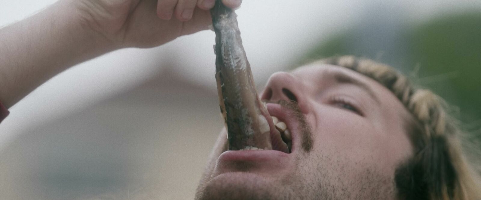 Gallery image of the project Love in Vain