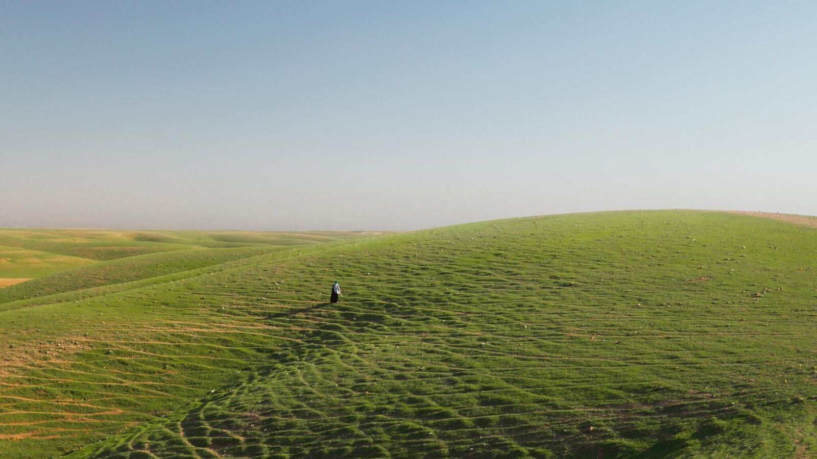 Gallery image of the project Anfal—eight lives, one genocide
