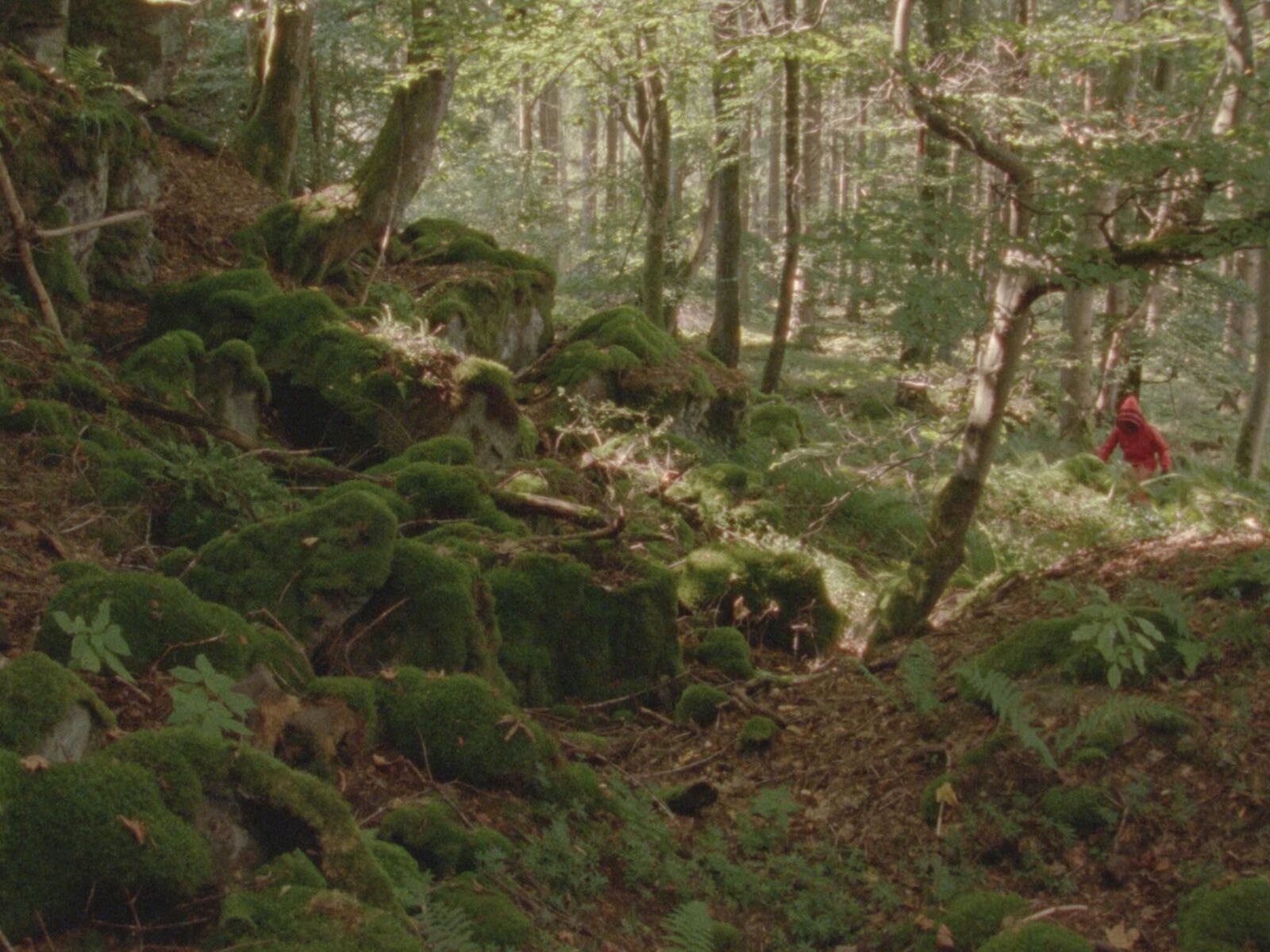 Gallery image of the project Solaris 