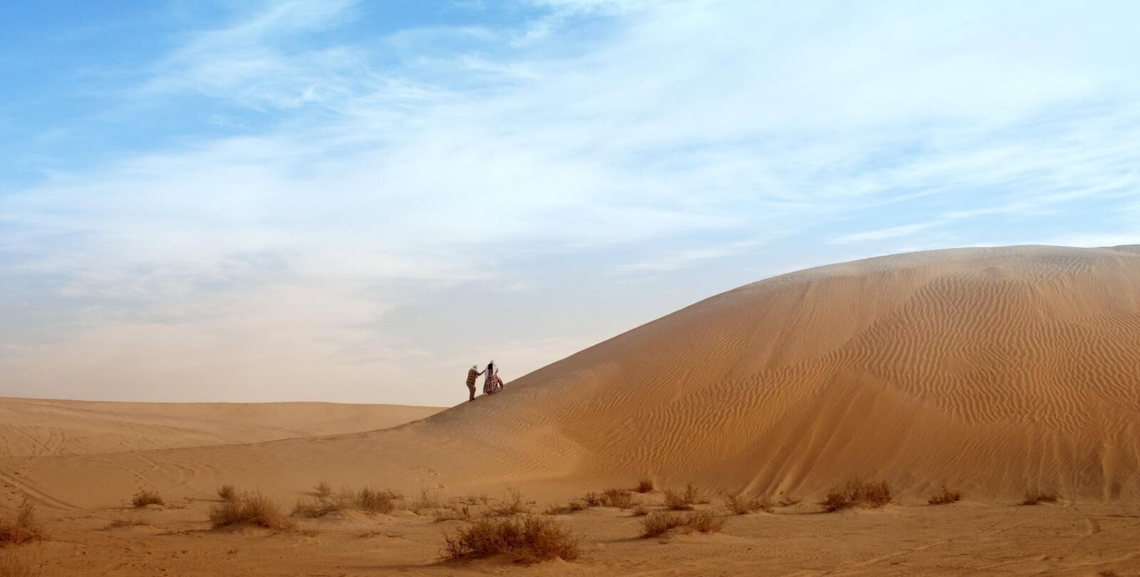 Gallery image of the project Yellow