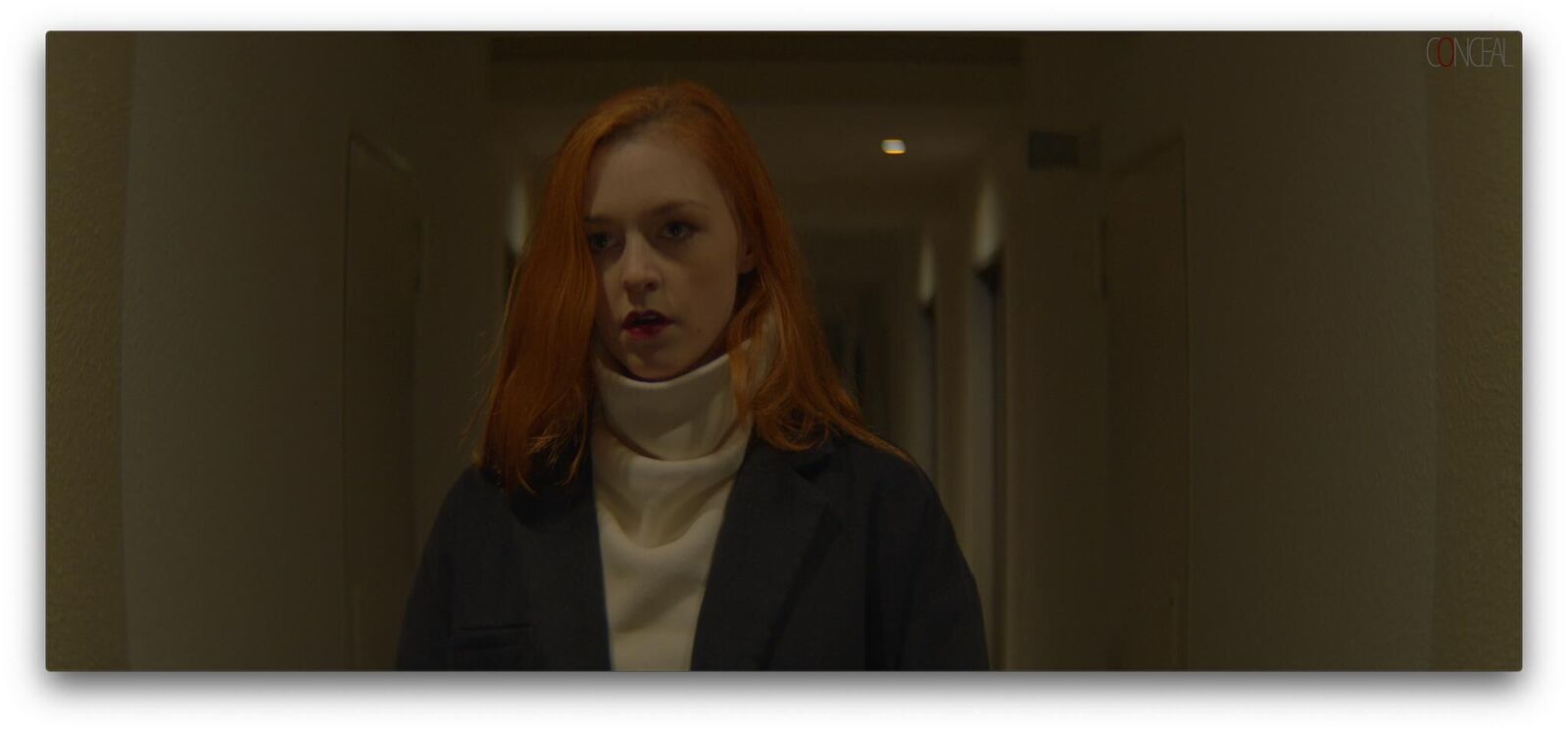 Gallery image of the project cOnceal