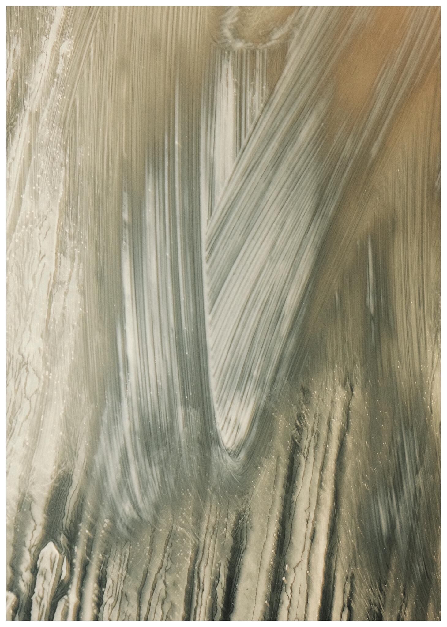 Gallery image of the project FALSE SPRING