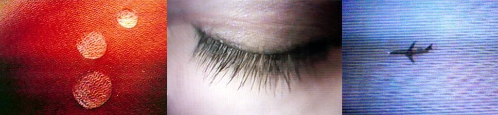 Gallery image of the project Hybride Evavisionen #1