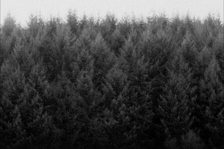© KHM, Henry Grotkasten